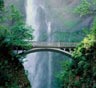 Aloha Movers