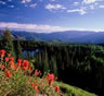 Arvada Movers