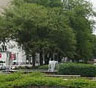 Augusta Residential Movers