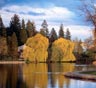 Bend Movers