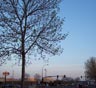 Brooklyn Park Moving Companies