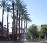Chandler Moving Companies