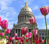 Charleston Movers Charleston Movers
