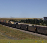 Cheyenne Movers Cheyenne Movers