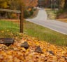 Hendersonville Moving Companies