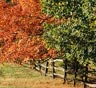 Levittown Movers Levittown Movers