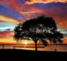 Lorain Movers Lorain Movers