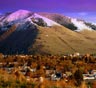 Missoula Movers