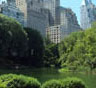 New York Interstate Movers