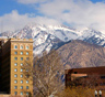 Ogden Movers