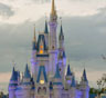 Orlando Moving Services