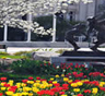 Provo Moving Companies