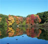 Southington Movers