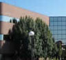 Sterling Heights Movers