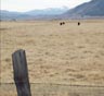 Sun Valley Movers