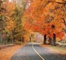 Teays Valley Movers Teays Valley Movers